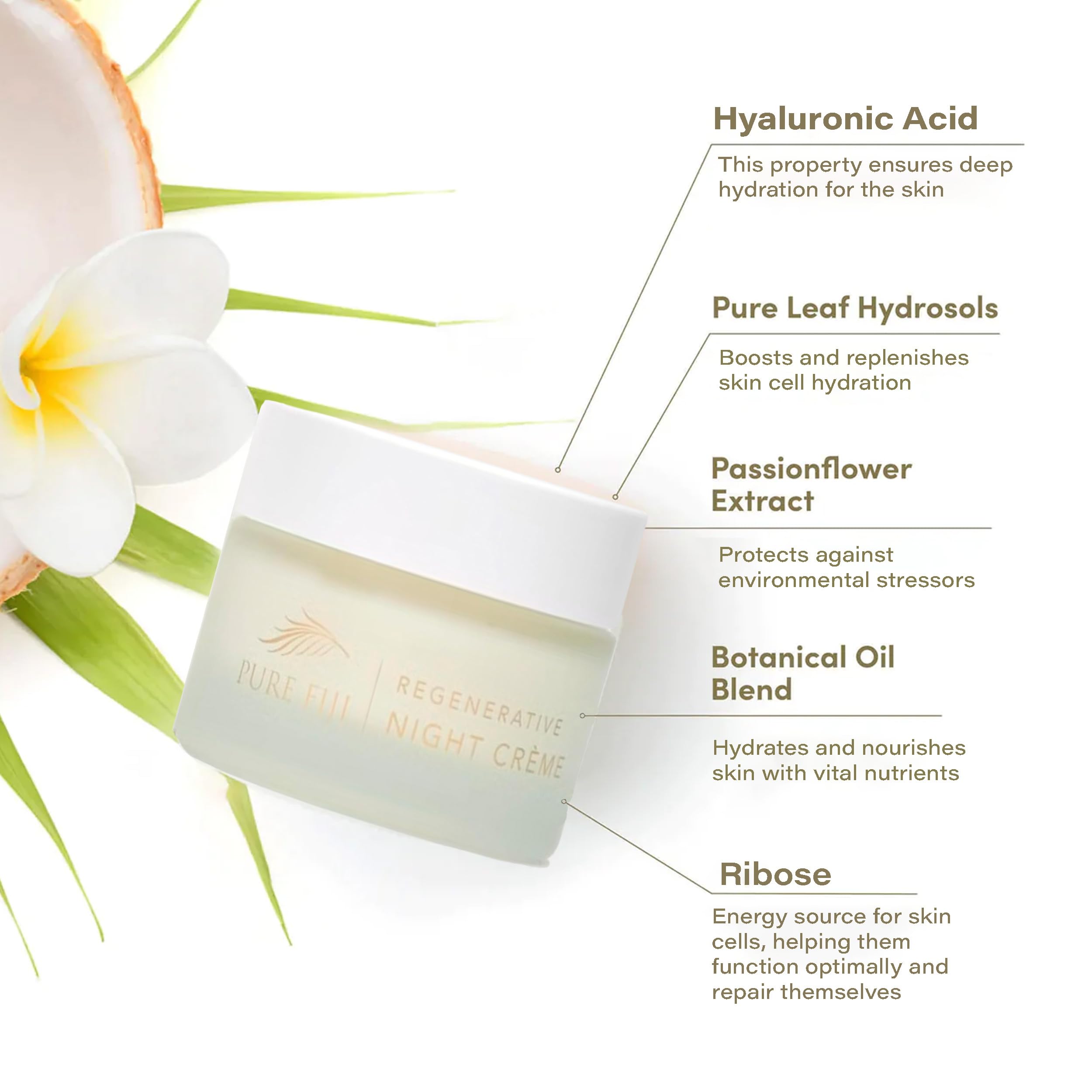 PURE FIJI Regenerative Night Cream dispense demonstration for an easy, nightly skincare routine.