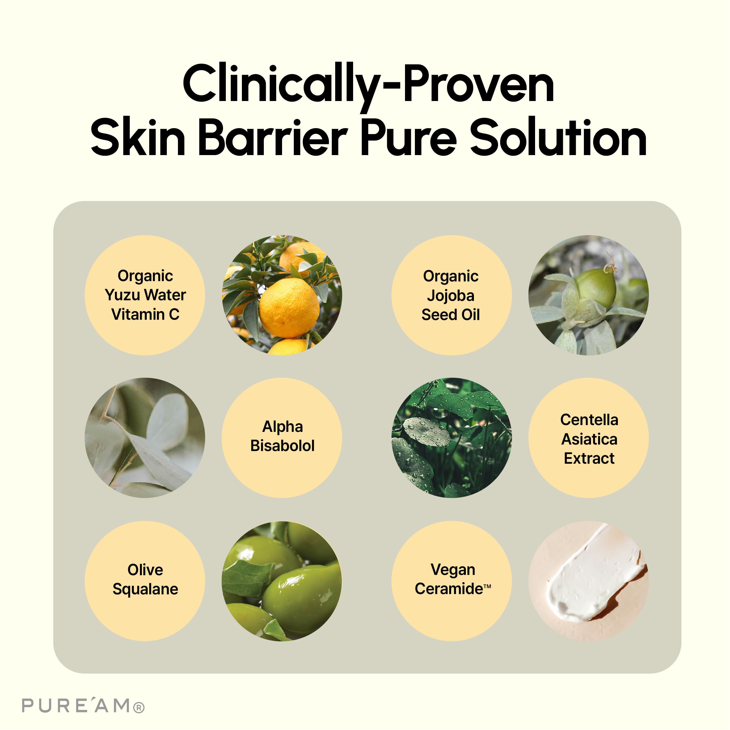 PURE'AM vegan ceramide and glycerin ingredients highlight strong hydration and barrier support.