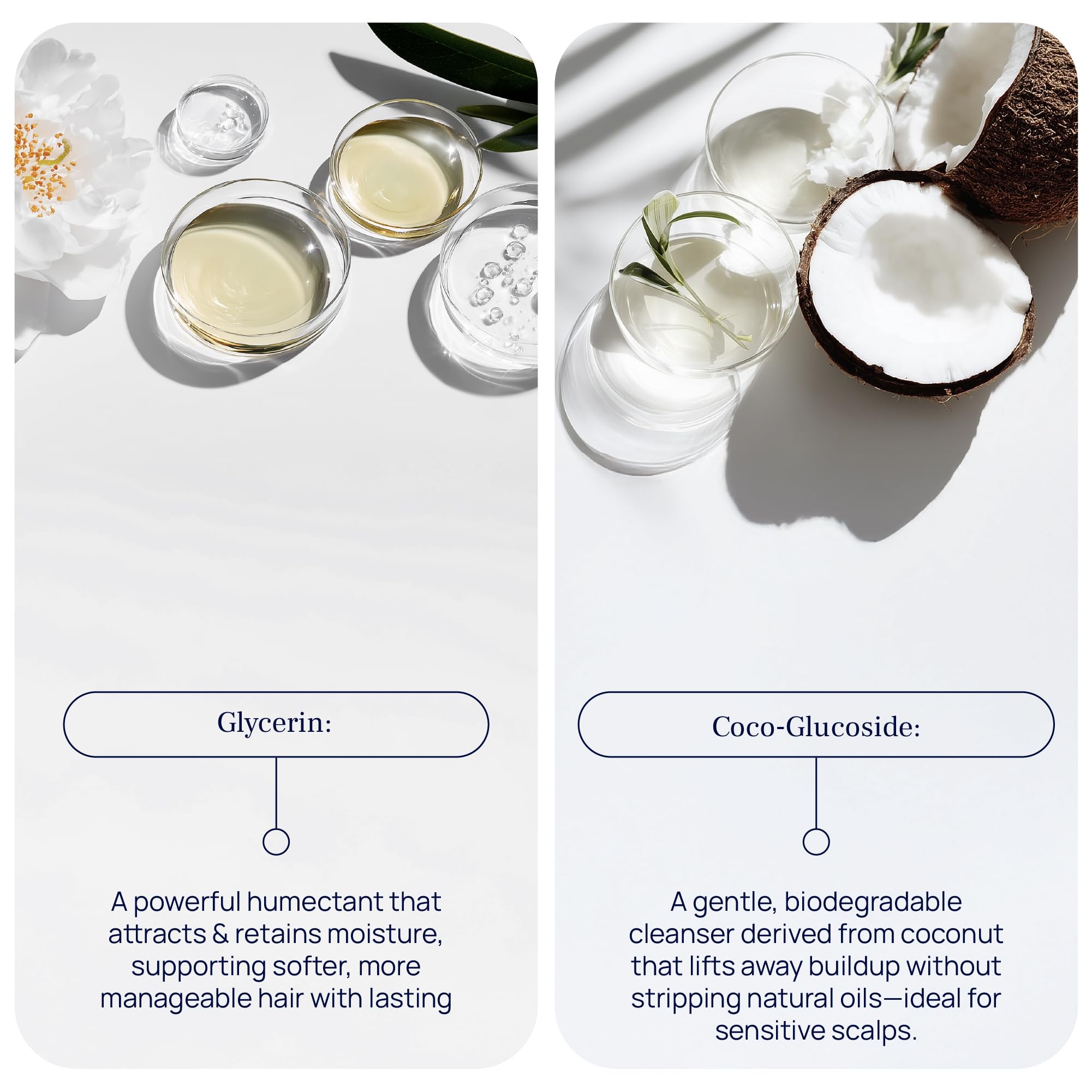 Pureance Hydralift Betaine coating on hair to look thicker