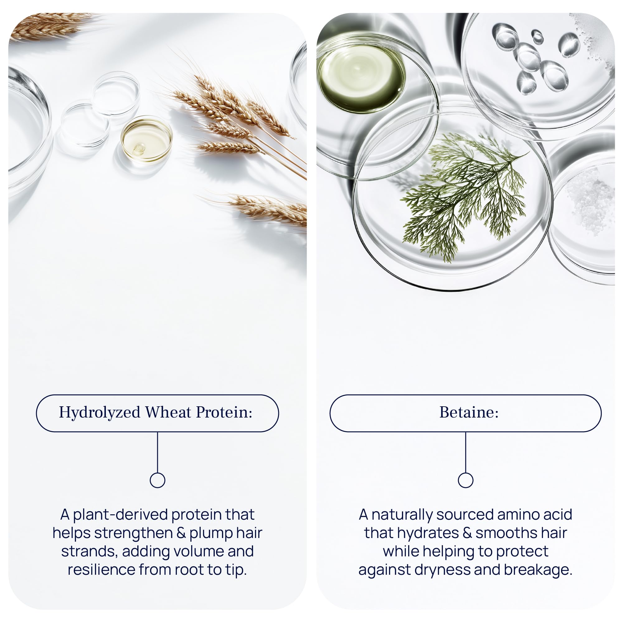 Pureance Hydralift wheat protein close-up on bottle