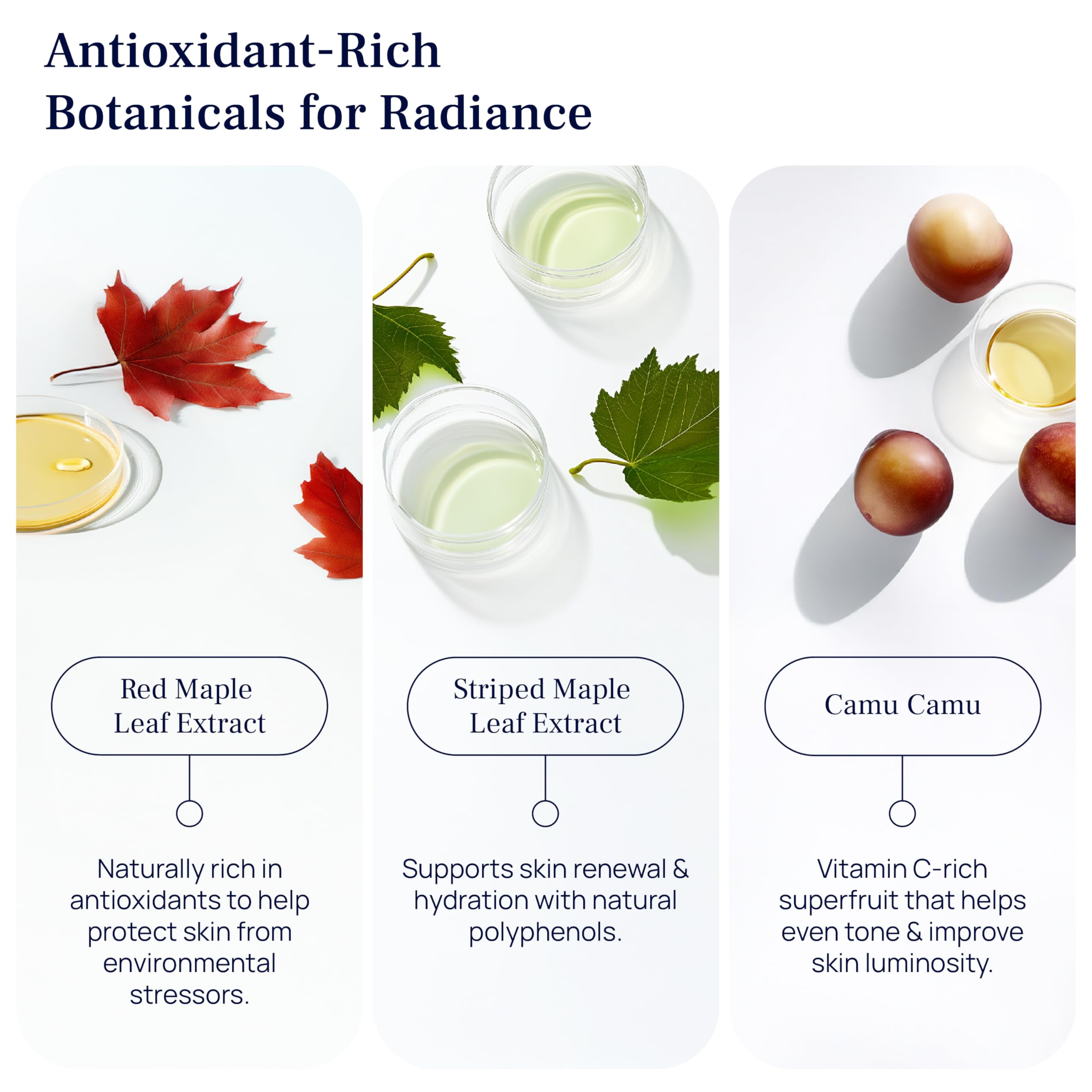 PUREANCE camu camu extract supports brightening steps