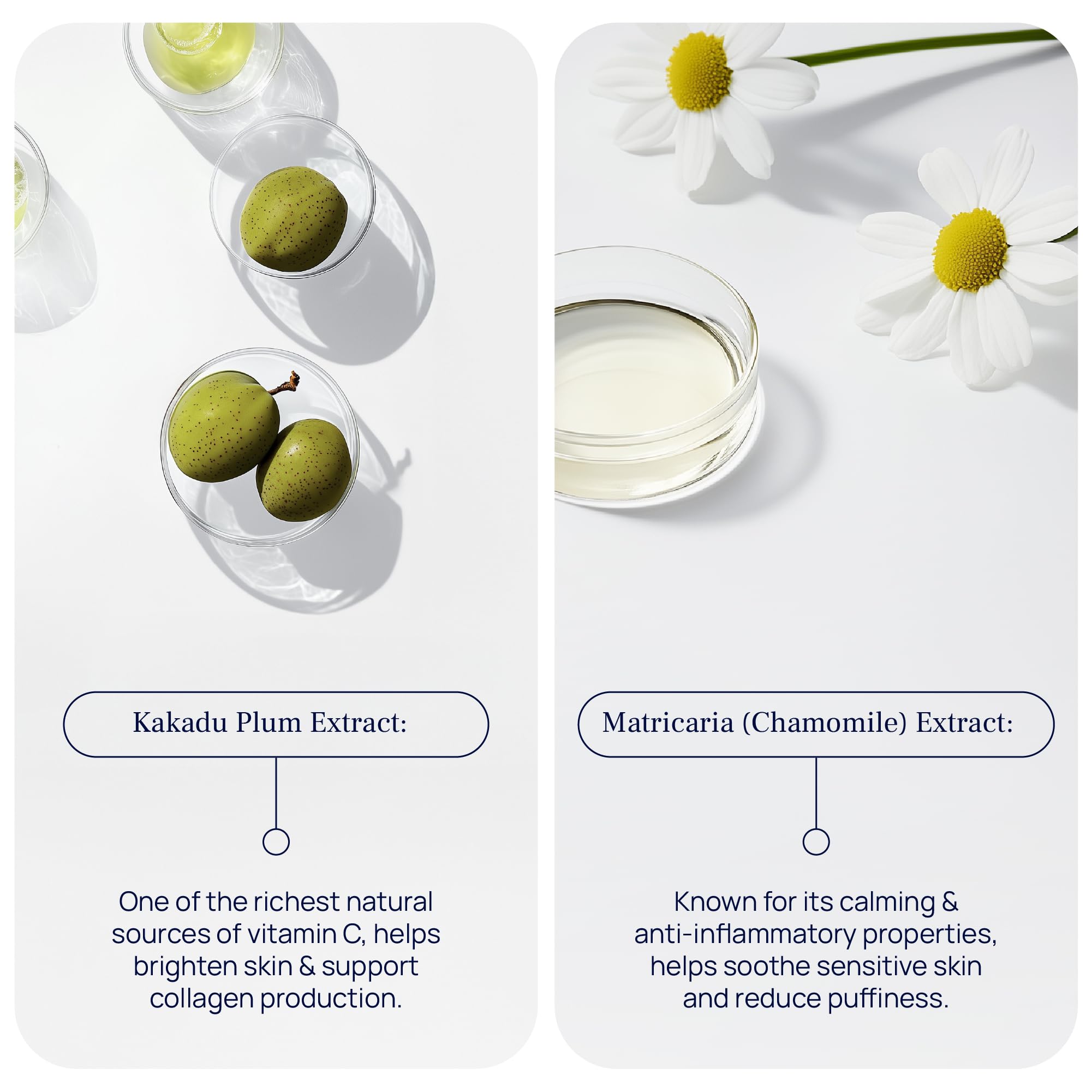 Pureance under eye area application for smoother look
