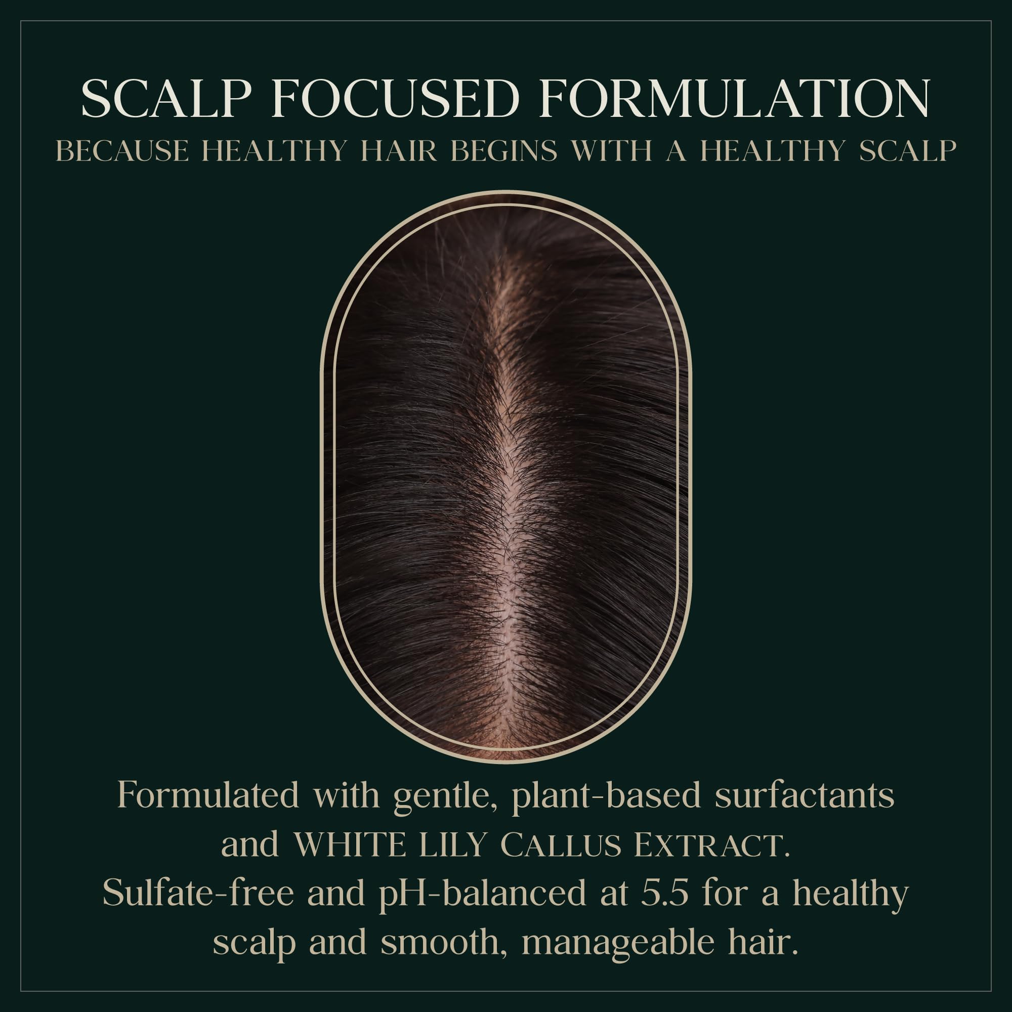 PUREBBLE White Lily Callus Extract focus showing antioxidant-rich ingredient