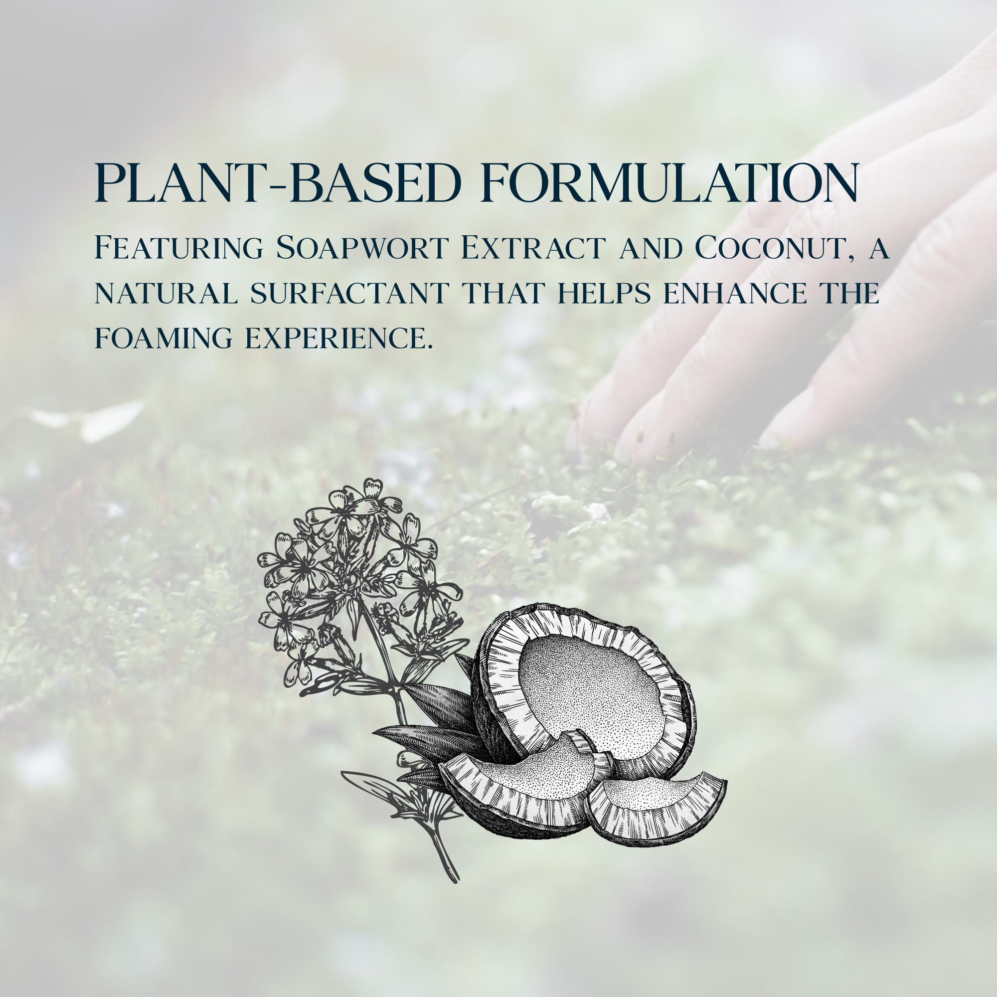 Purebble Korean barberry extract contributing to skin defense.