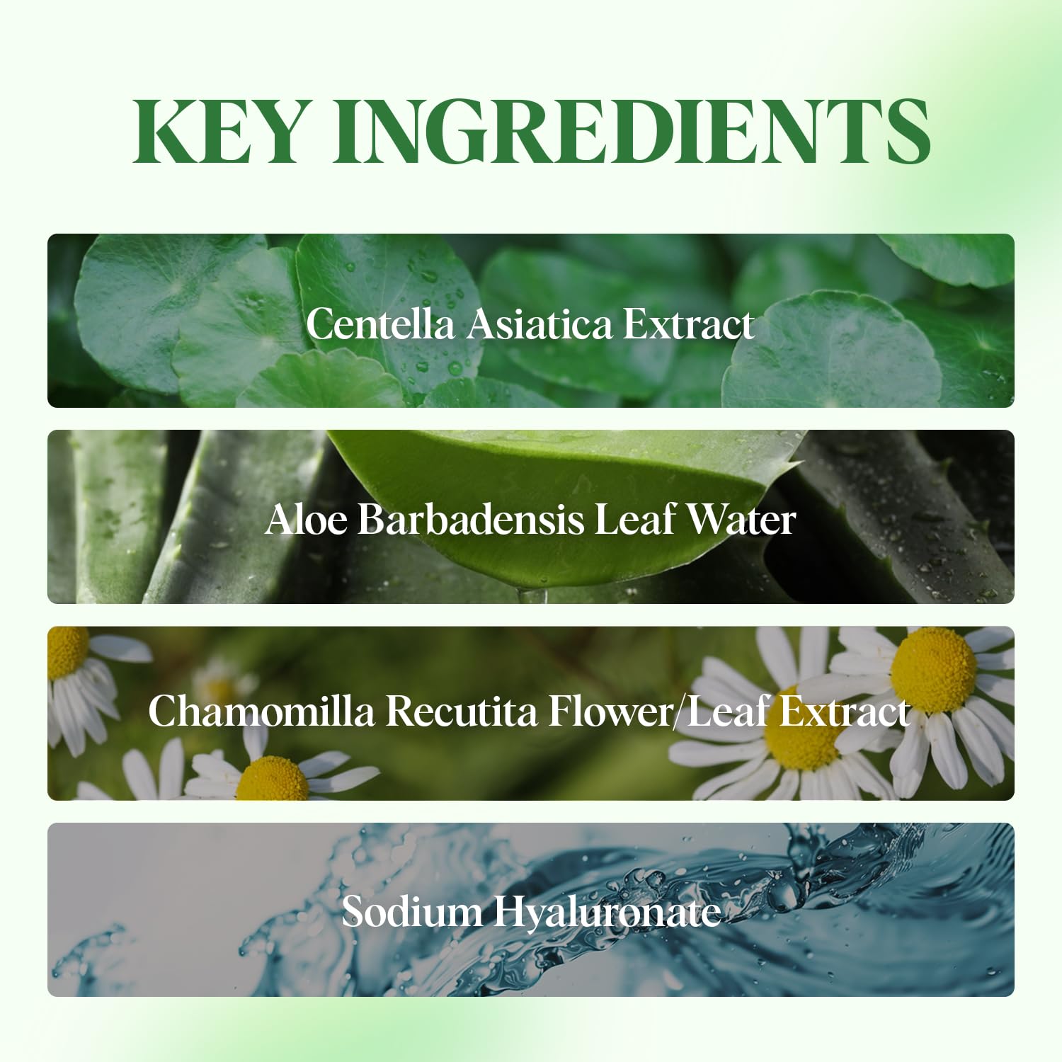 Pureheal's Centella 80 Eye Cream ingredient label showcasing plant-based extracts.