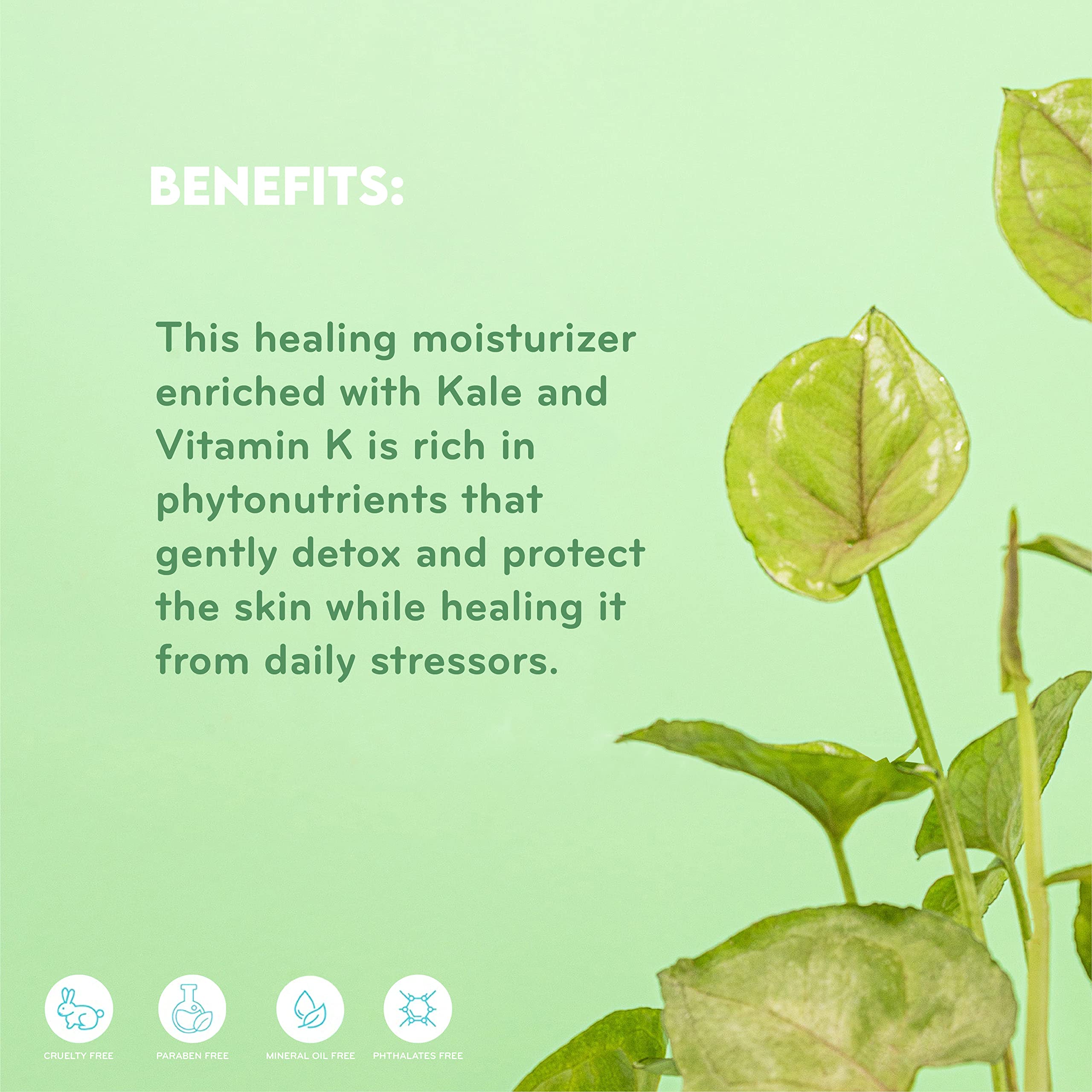 Purlisse moisturizer application shot demonstrates quick dime-sized use in routines.