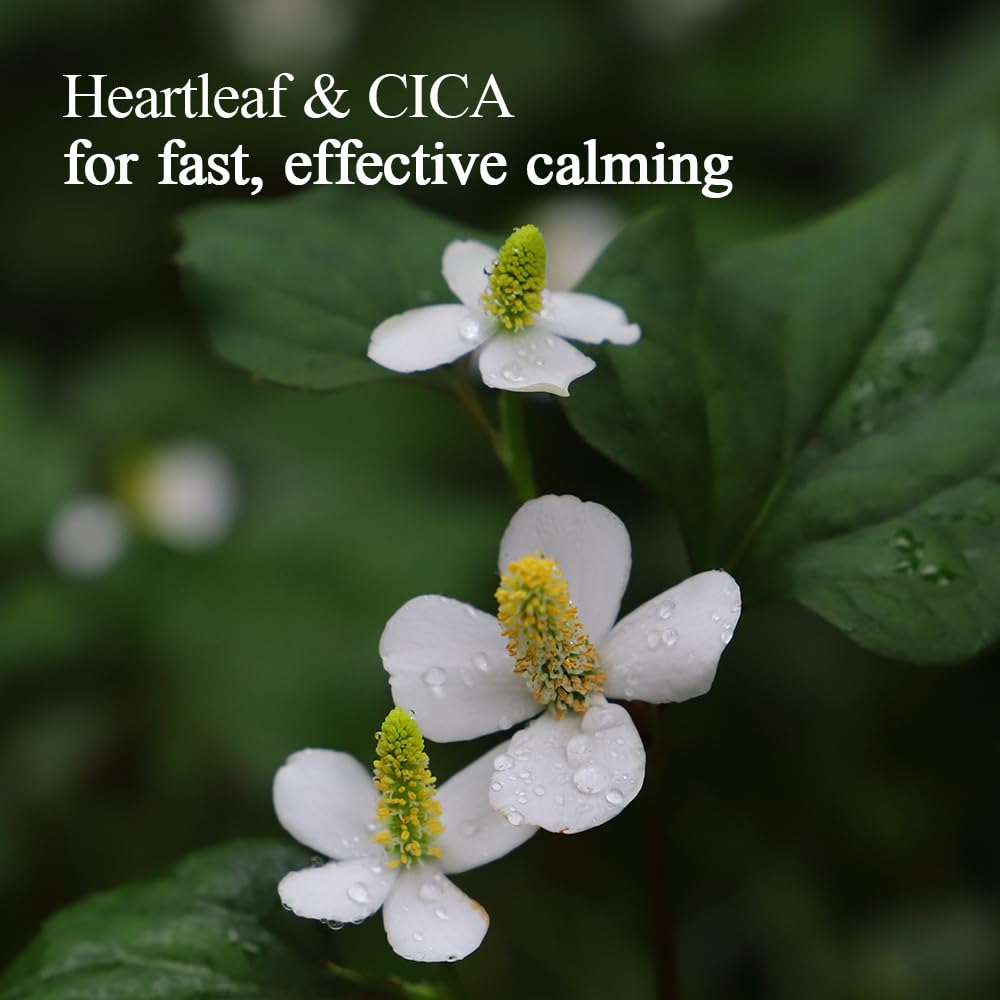 Pyunkang Yul PKY Calming Relief gel application on arm, gentle massage to aid absorption.