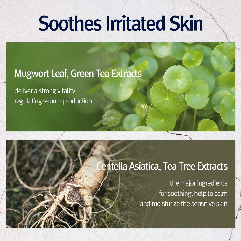Close-up of key PKY ingredients including fermented tea and peptides