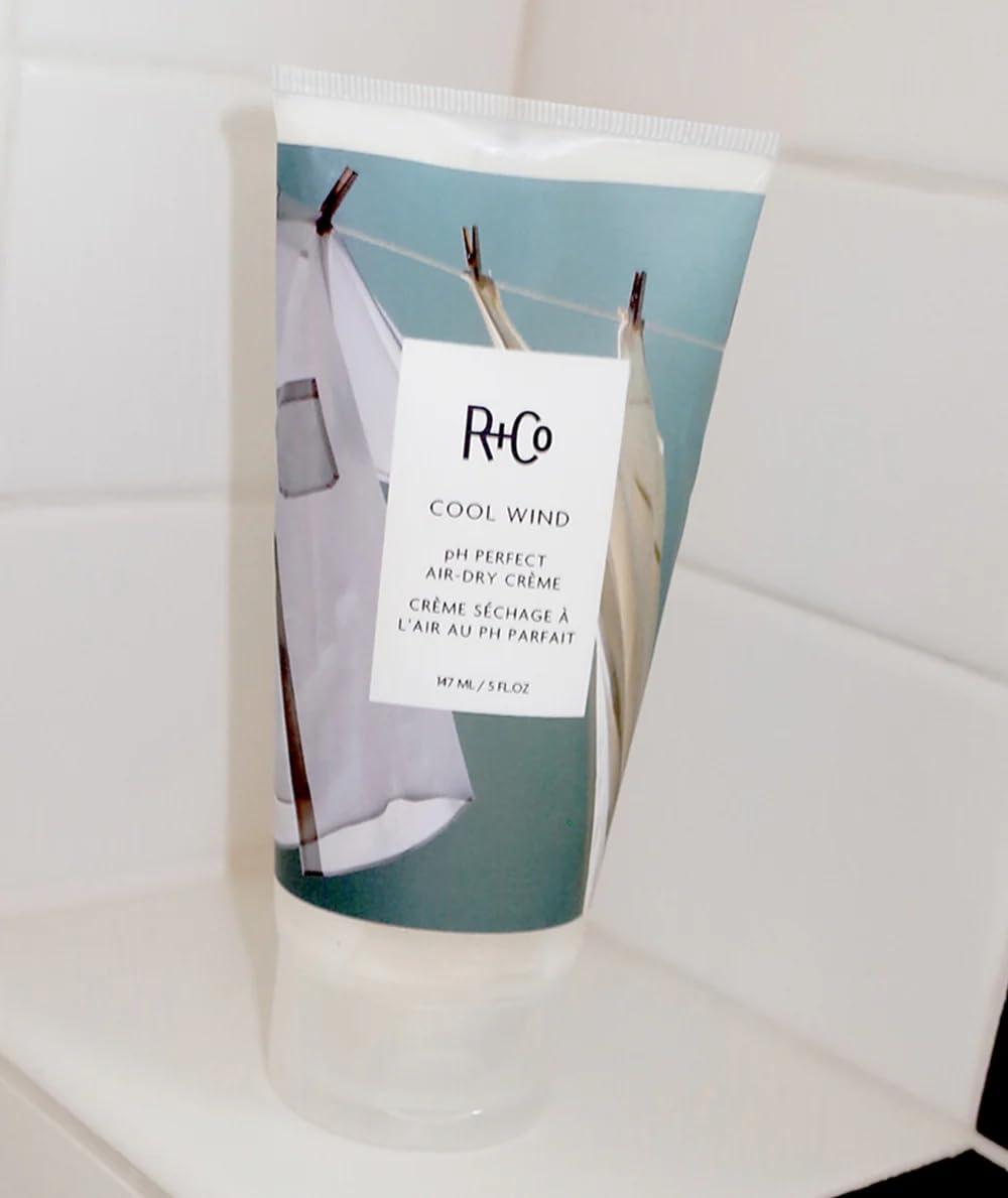 R+Co Cool Wind hair-styling-ready scene suggests effortless air-dried looks.