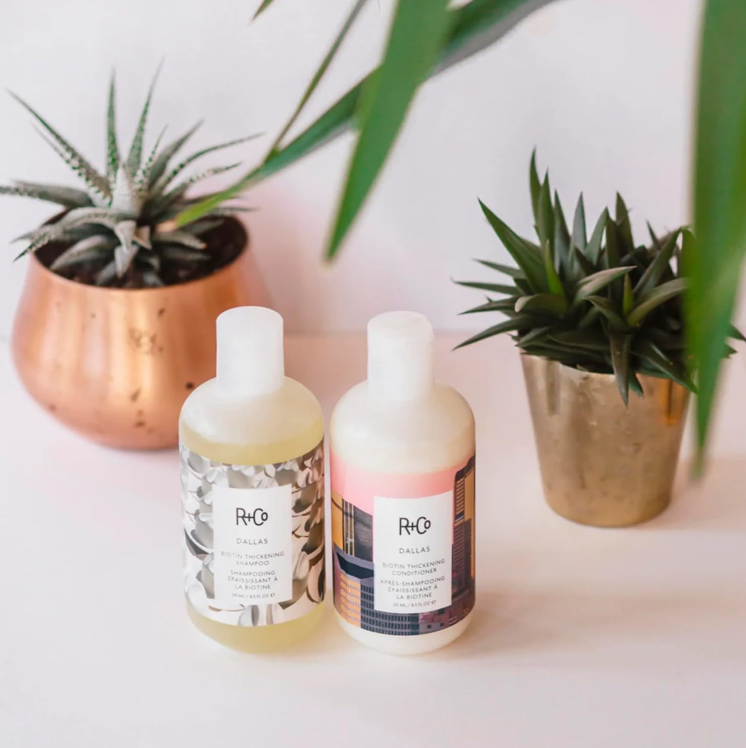 R+Co Dallas set packaging showcases sulfate-free, vegan, cruelty-free care.