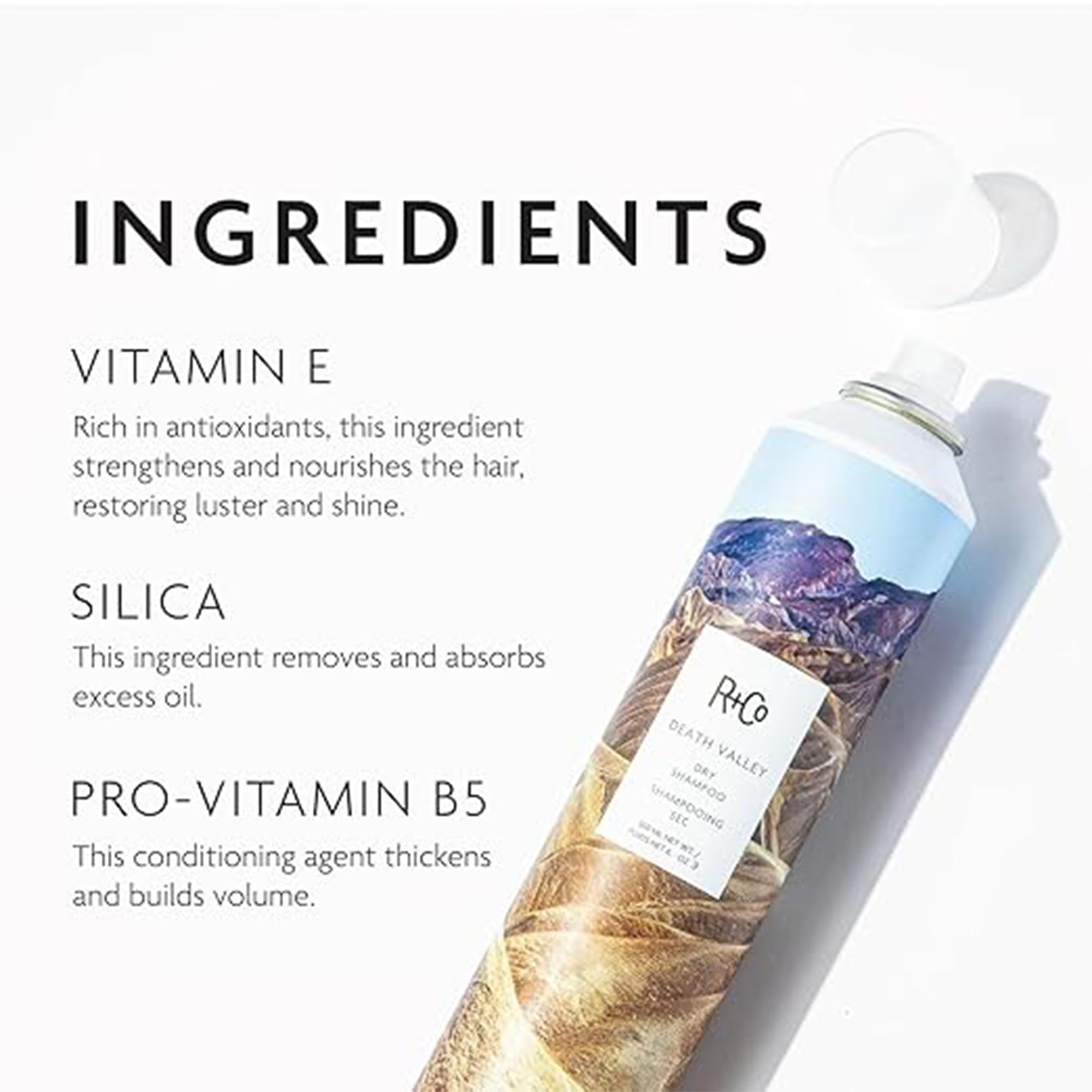 R+Co Death Valley dry shampoo absorbs excess oil to refresh roots and extend style.