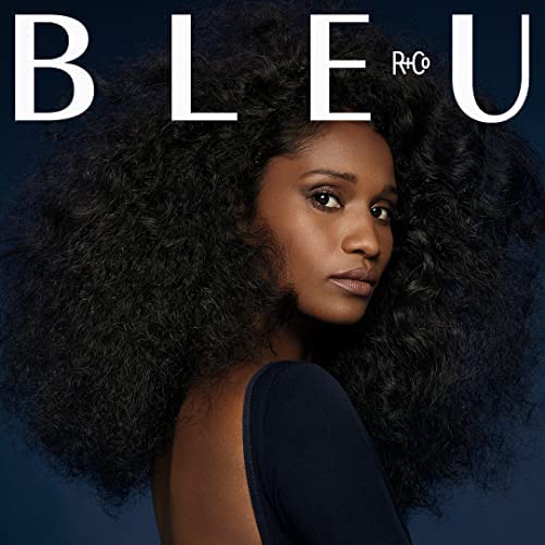 R+Co Super Style Creme air-dried look with natural movement