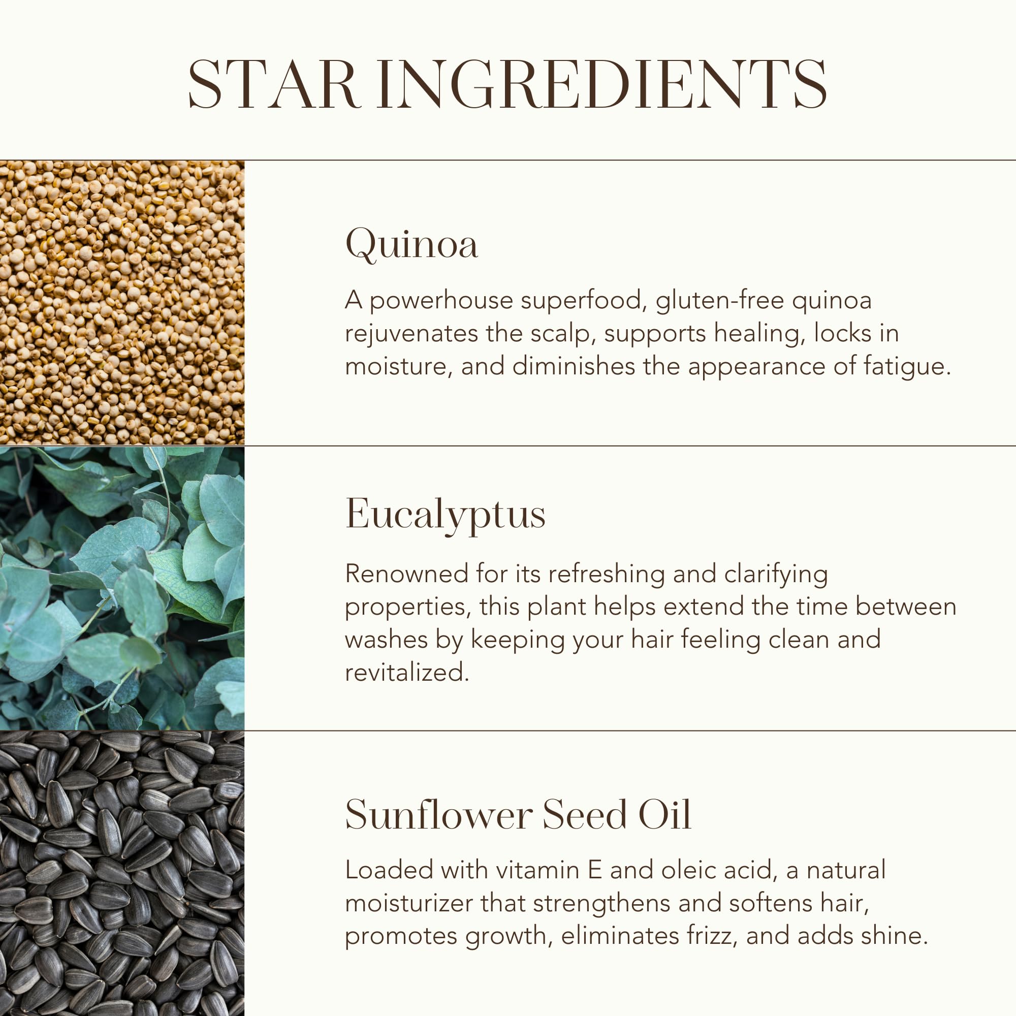 Rahua Omega 9 Hair Mask sunflower oil ingredient closeup emphasizing moisture and frizz control.