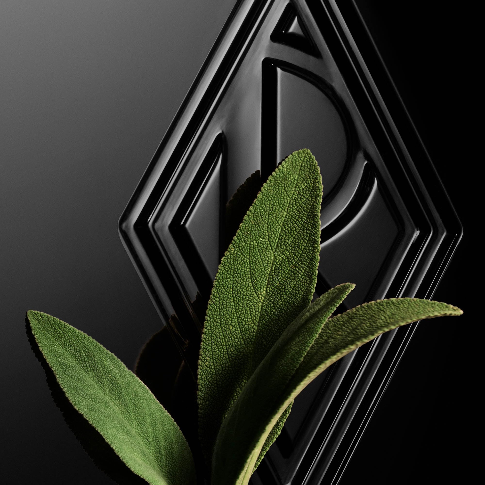 Ralph Lauren Fragrances Ralphs Club Elixir luxury packaging elevates gifting and travels