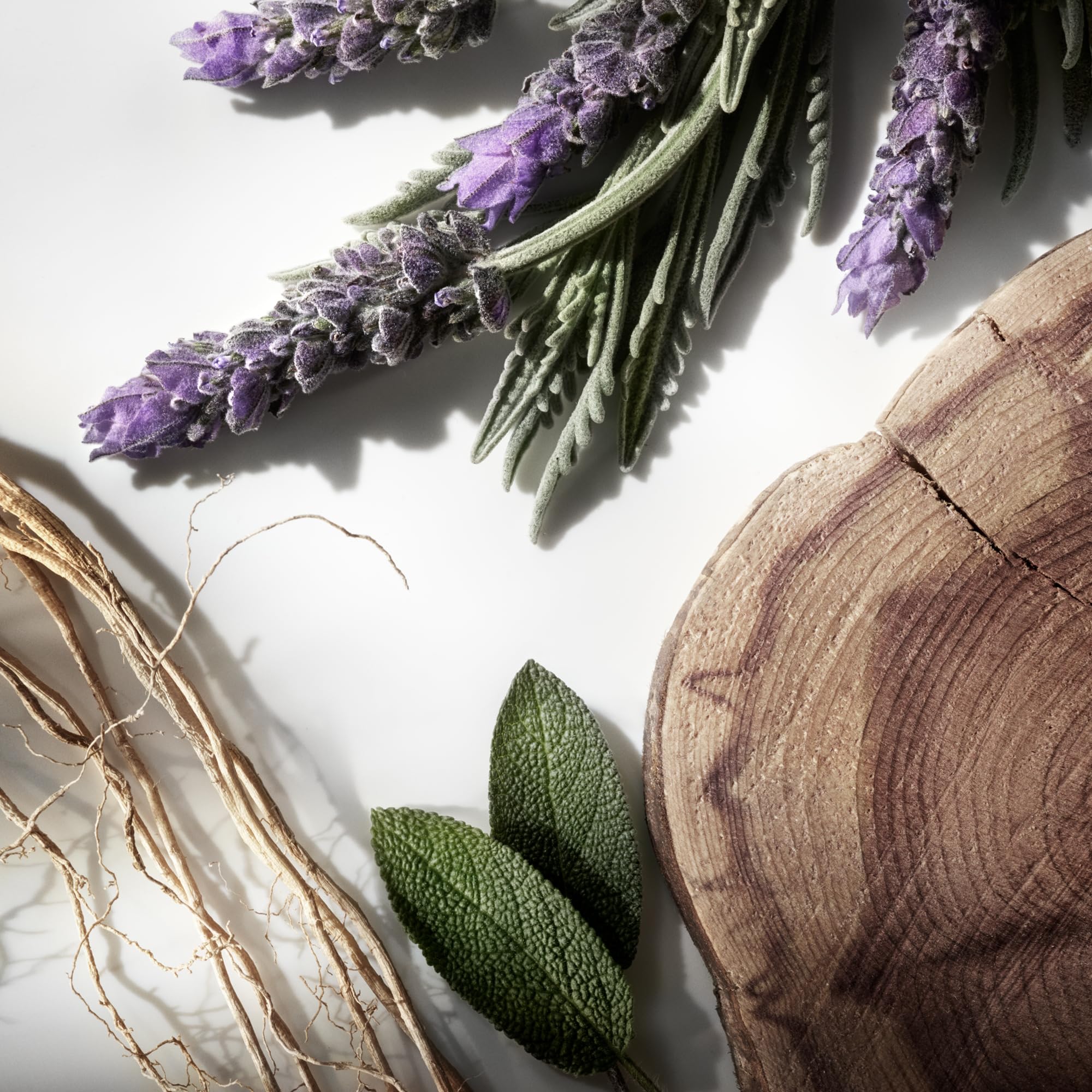 Label close-up; highlights Clary Sage and Lavandin notes.