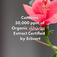 RATED GREEN Hibiscus Sugar Maple ingredients panel highlights plant-derived formula.