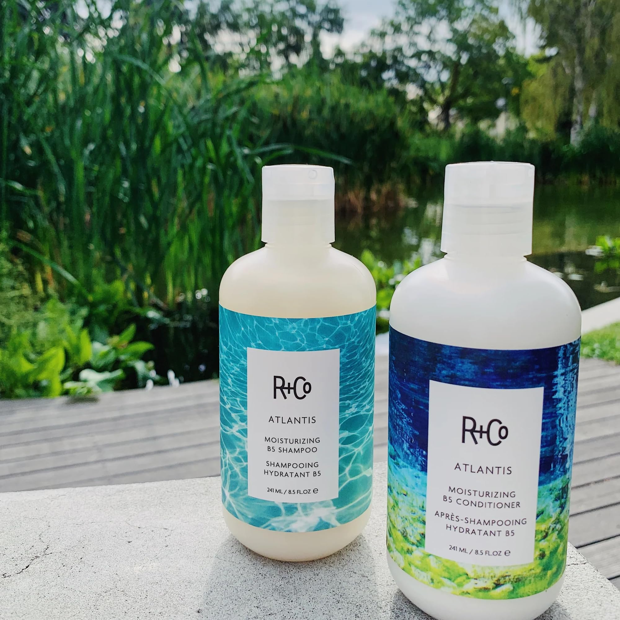 R+Co Atlantis natural ingredients graphic highlights botanical extracts