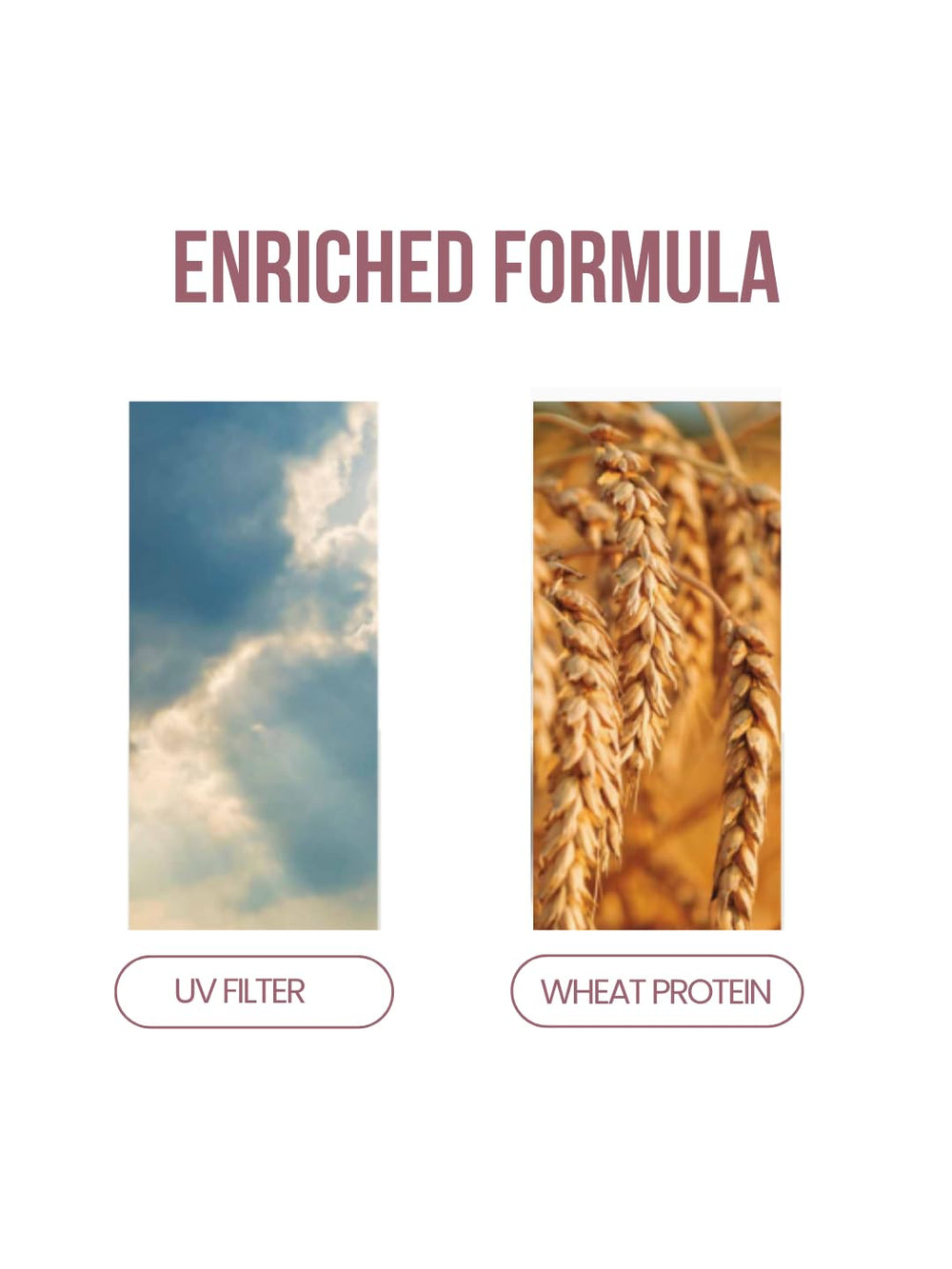 RECAMIER Color Guard Pro Shampoo wheat protein nourishes and strengthens hair.