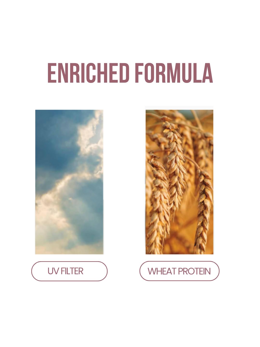 RECAMIER Color Guard Pro Shampoo wheat protein nourishes hair