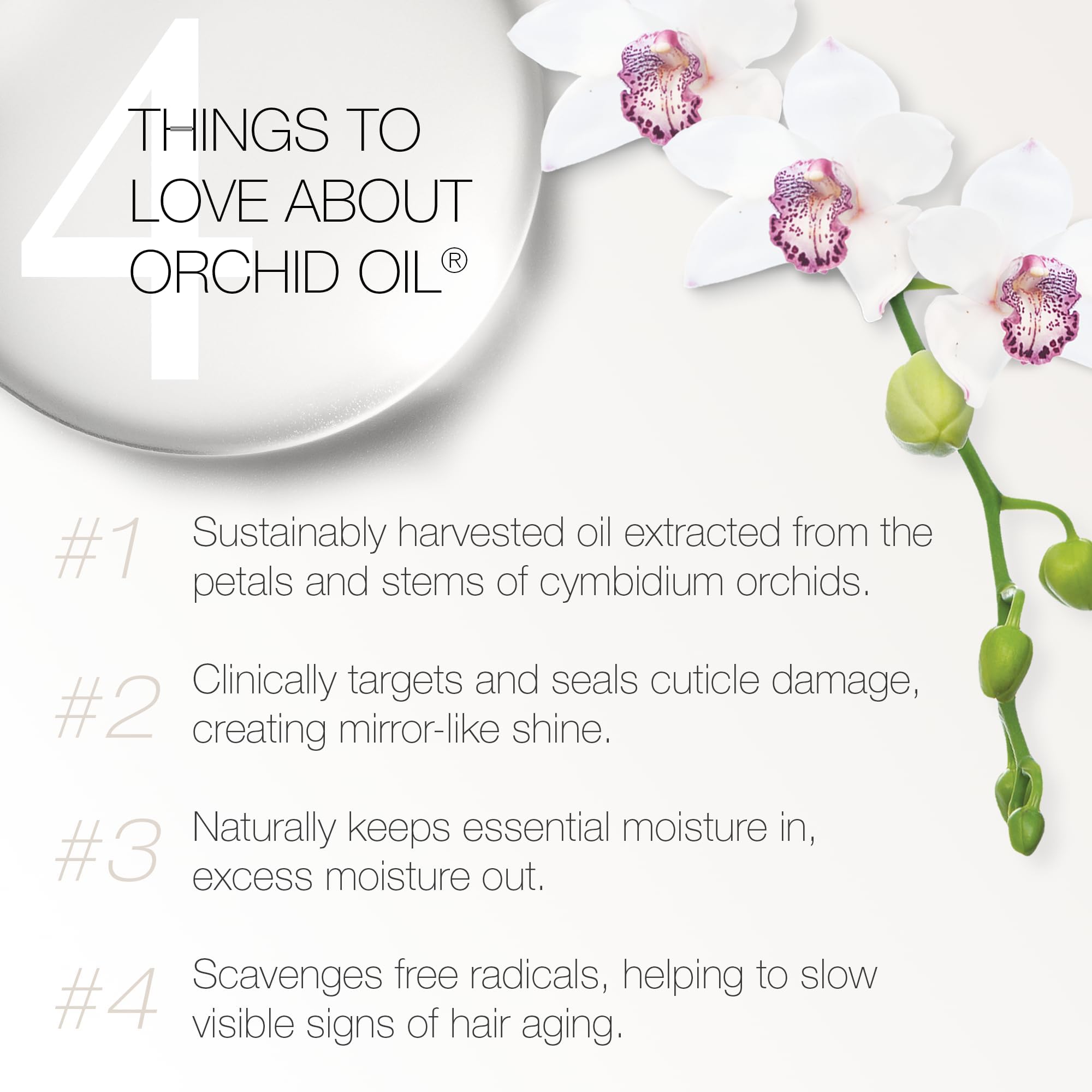 Redavid Orchid Oil Shampoo ingredients splash with coconut oil and orchid oil benefits