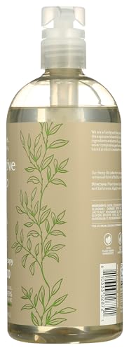 RENPURE Restorative Hemp Oil Shampoo packaging on shelf emphasizes eco-friendly, 24 oz size