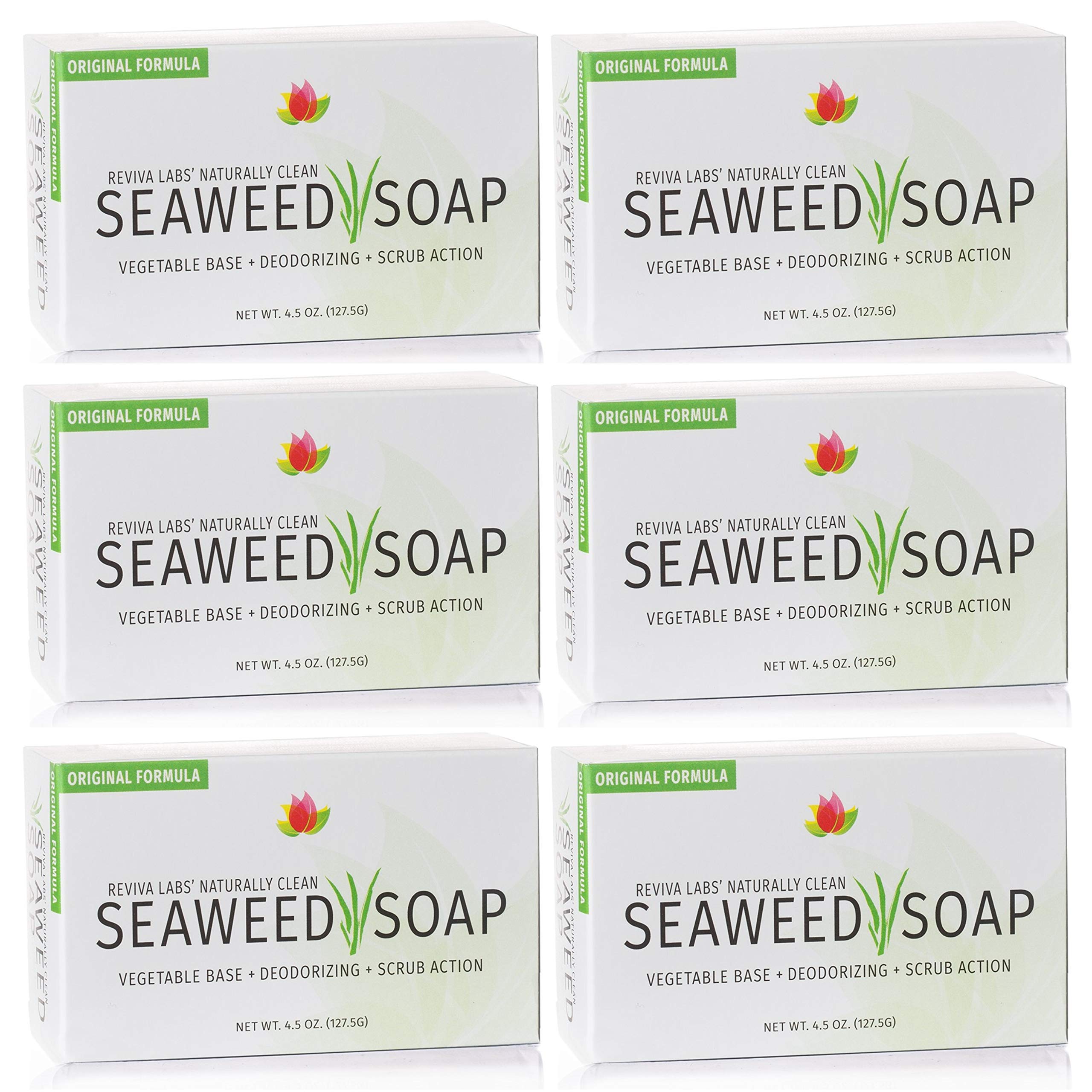 Reviva Seaweed Soap 6 Pack pack shot showing a natural exfoliating bar.
