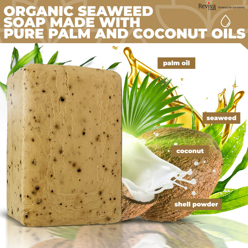 Reviva Seaweed Soap detox/minerals image conveys mineral-rich cleanse for pores.