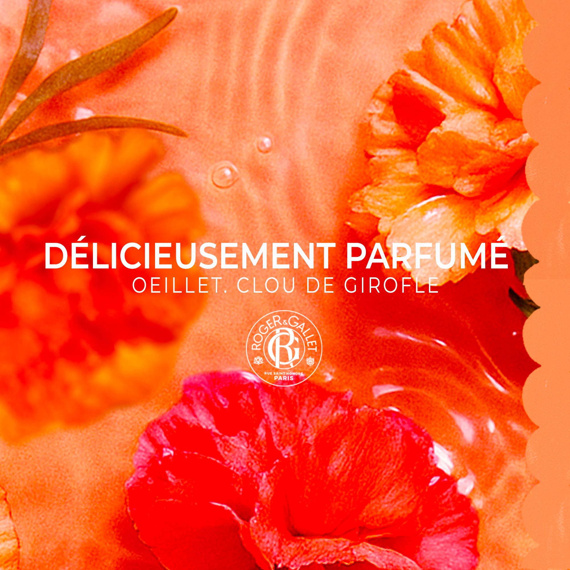 Roger & Gallet Œillet Mignardise packaging exudes artisanal elegance.