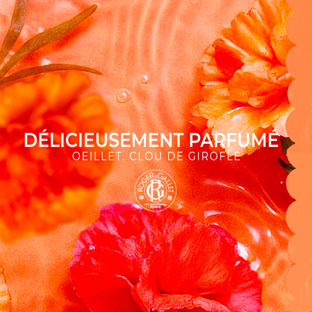 Roger & Gallet Œillet Mignardise packaging exudes artisanal elegance.
