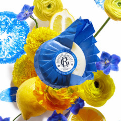 ROGER & GALLET body wash lather delivering a creamy sandalwood fragrance