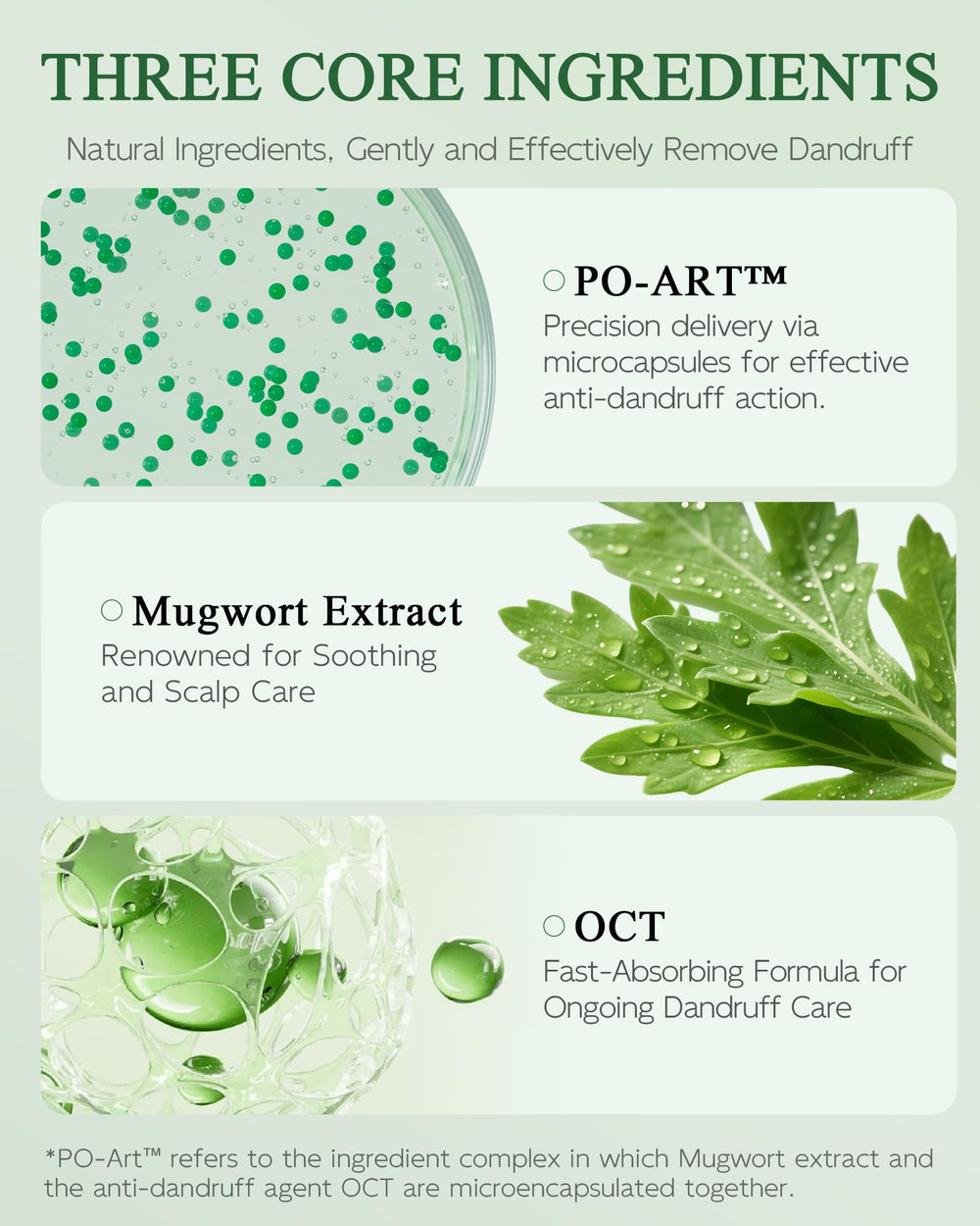 Ingredient highlight: mugwort, piroctone olamine, and bifida ferment lysate in the bottle.