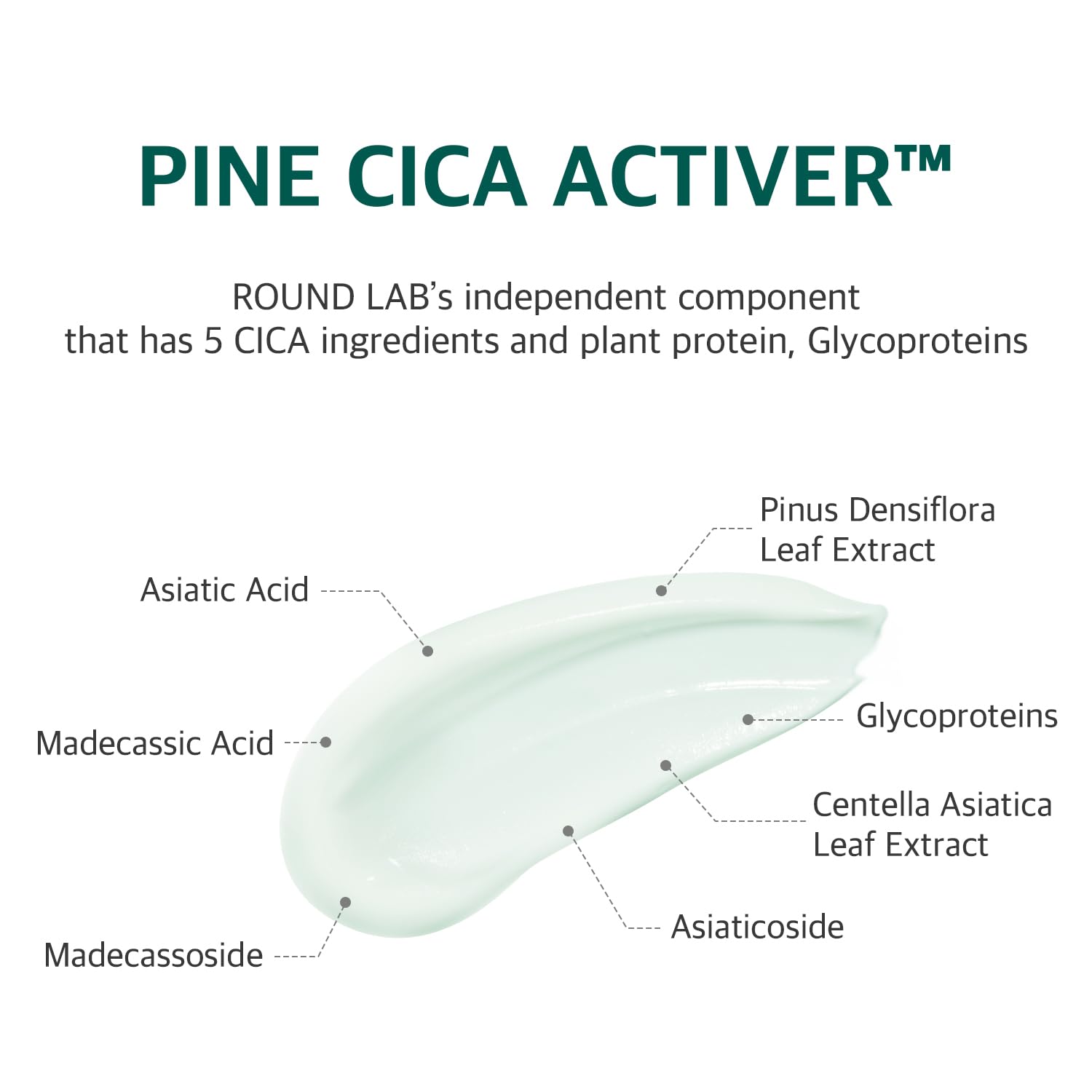 ROUND LAB Pine Calming Cica Cream swatch applied on skin for quick absorption.