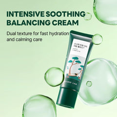 ROUND LAB Pine Cica Calming Cream Plus jar delivers lightweight feel with long-lasting moisture.