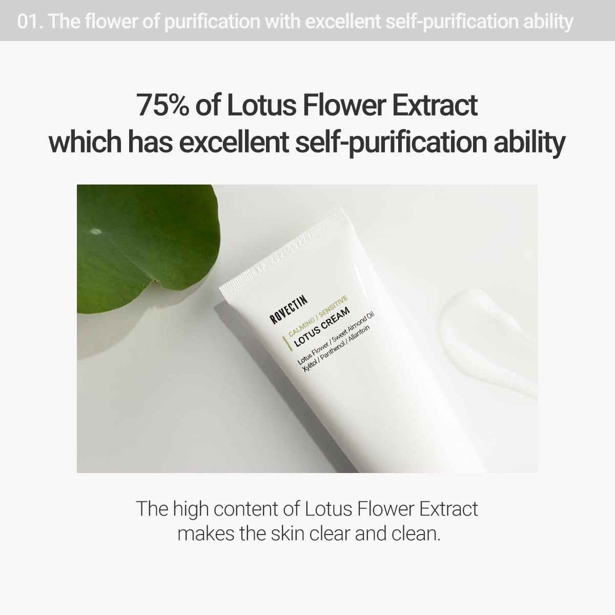 ROVECTIN Lotus Water Cream application scene showing subtle glow.