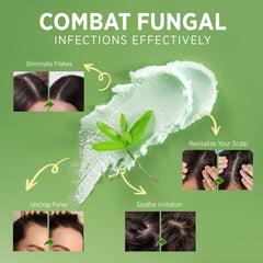 Tea tree oil droplets in Roycederm Scalp Scrub illustrating key ingredient