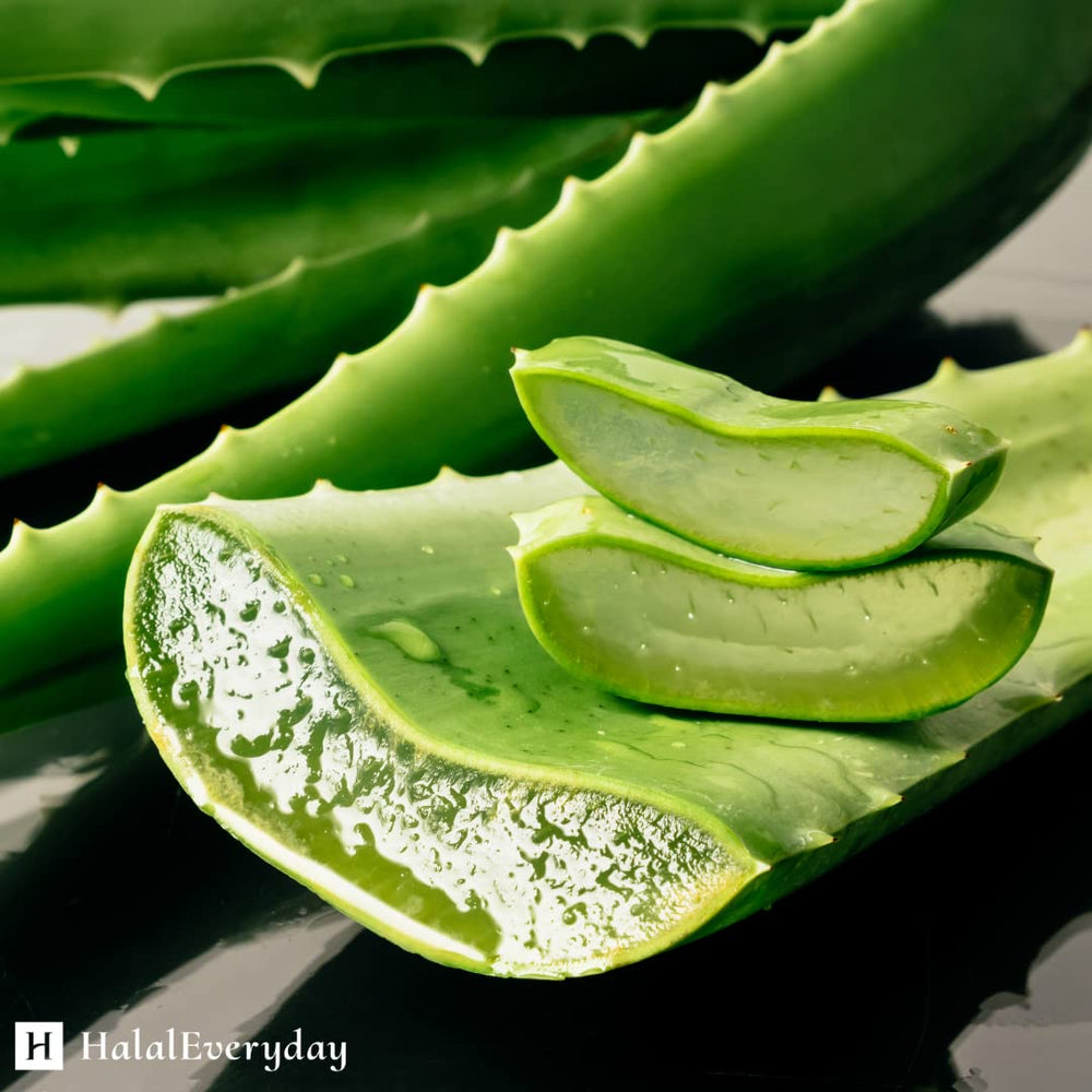 SAAQIN Aloe Vera Butter container used as versatile body butter for burns and chapping