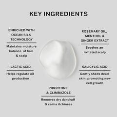 SACHAJUAN ingredients rosemary and menthol highlight refreshing moisture balance.