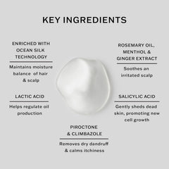 SACHAJUAN scalp shampoo with rosemary and ginger supports refreshed moisture.