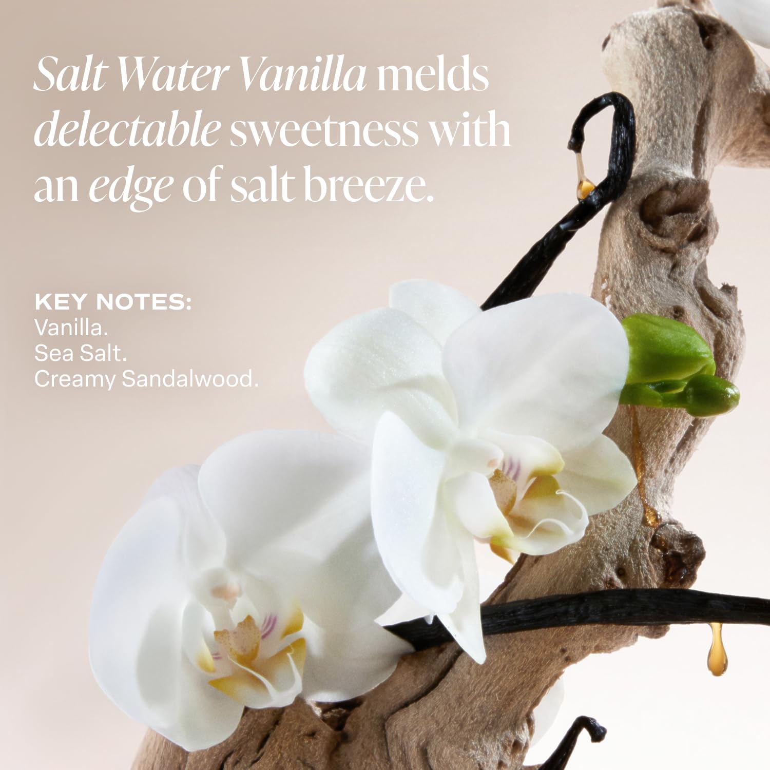 Cupuaçu butter in Saltair lotion provides rich nourishment for the skin