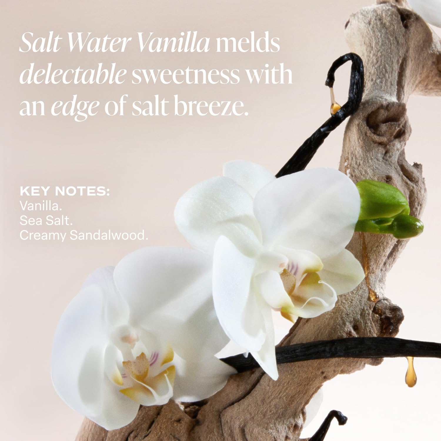 Saltair Salt Water Vanilla Deodorant 2PK in use with underarm comfort
