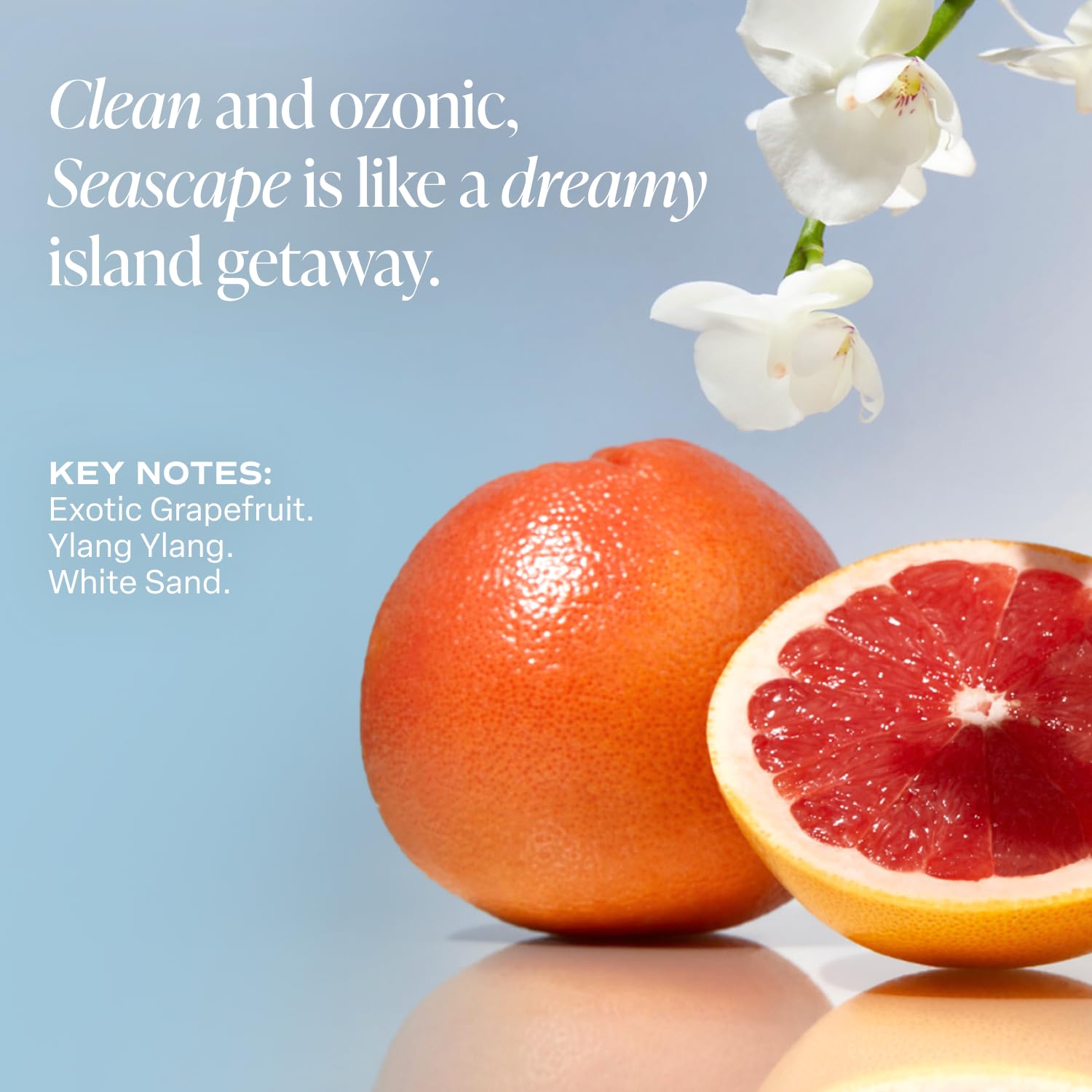 Saltair Seascape Cupuacu butter supports skin suppleness.