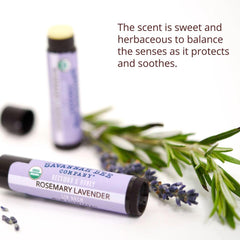 Lip balm ingredients cocoa butter for deep nourishment and softness.