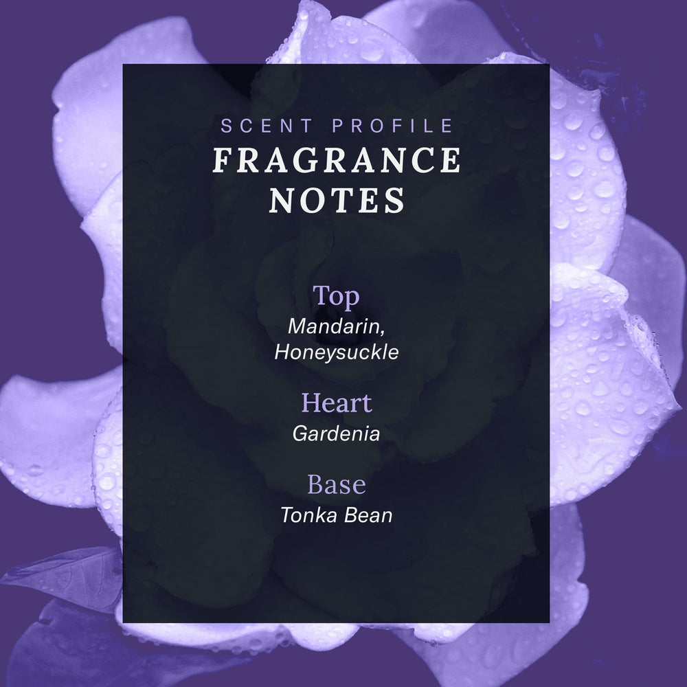 SCENT BEAUTY Cher Decades Couture packaging showcases premium, gift-ready presentation.