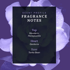 SCENT BEAUTY Cher Decades Couture packaging showcases premium, gift-ready presentation.