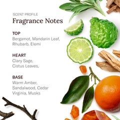 SCENT BEAUTY Stetson foamy lather in hand demonstrates easy two-in-one wash.