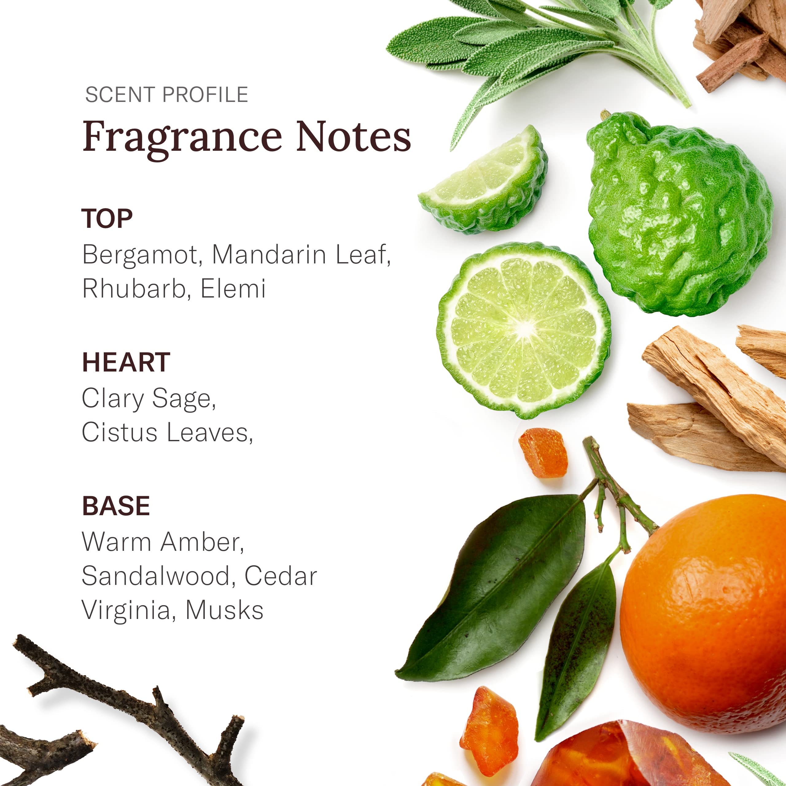 SCENT BEAUTY Stetson Spirit scent notes evoke rugged sophistication