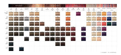 Schwarzkopf Igora Royal 4-88 application brush enables precise, even color application