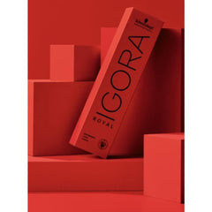 Schwarzkopf Igora Royal 6-1 Dark Blonde Cendre swatch showing an even tone.