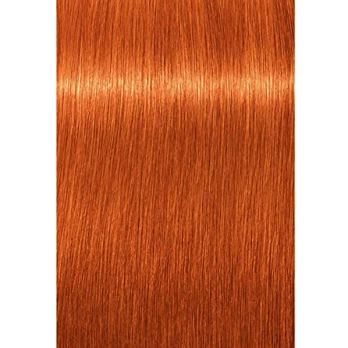 Schwarzkopf Igora Royal swatches showcasing copper-toned shade with vibrant result.