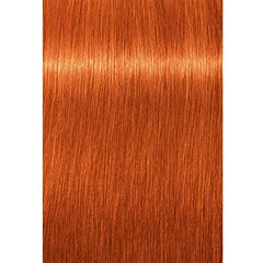 Schwarzkopf Igora Royal swatches showcasing copper-toned shade with vibrant result.